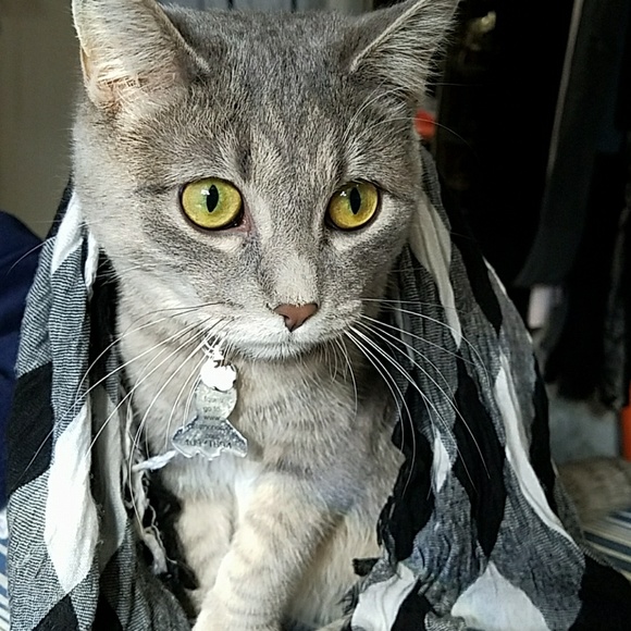 Meet your Posher, Kellie 🏅TOP RATED SELLER🏅 - Picture 2 of 4